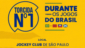 TORCIDA N1 SÃO PAULO