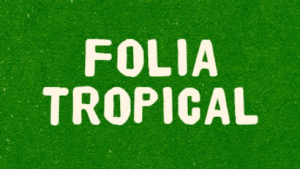 INGRESSOS CAMAROTE FOLIA TROPICAL